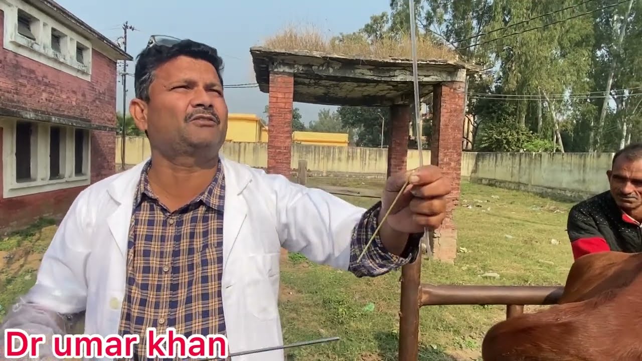 A. I. kase kare l A. I. Gun kaise kare l dr umar khan
