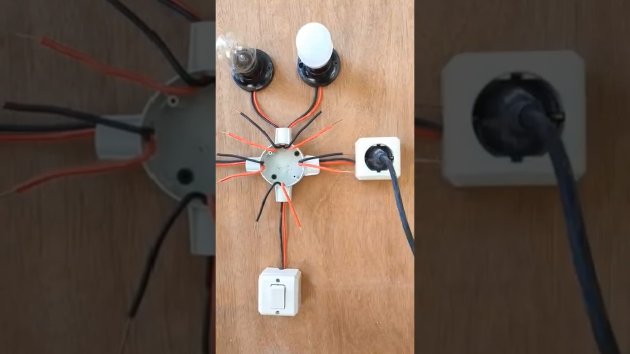 cara tepat instalasi listrik dua lampu satu saklar dan stopkontak #shortvideo  #instalasilistrik