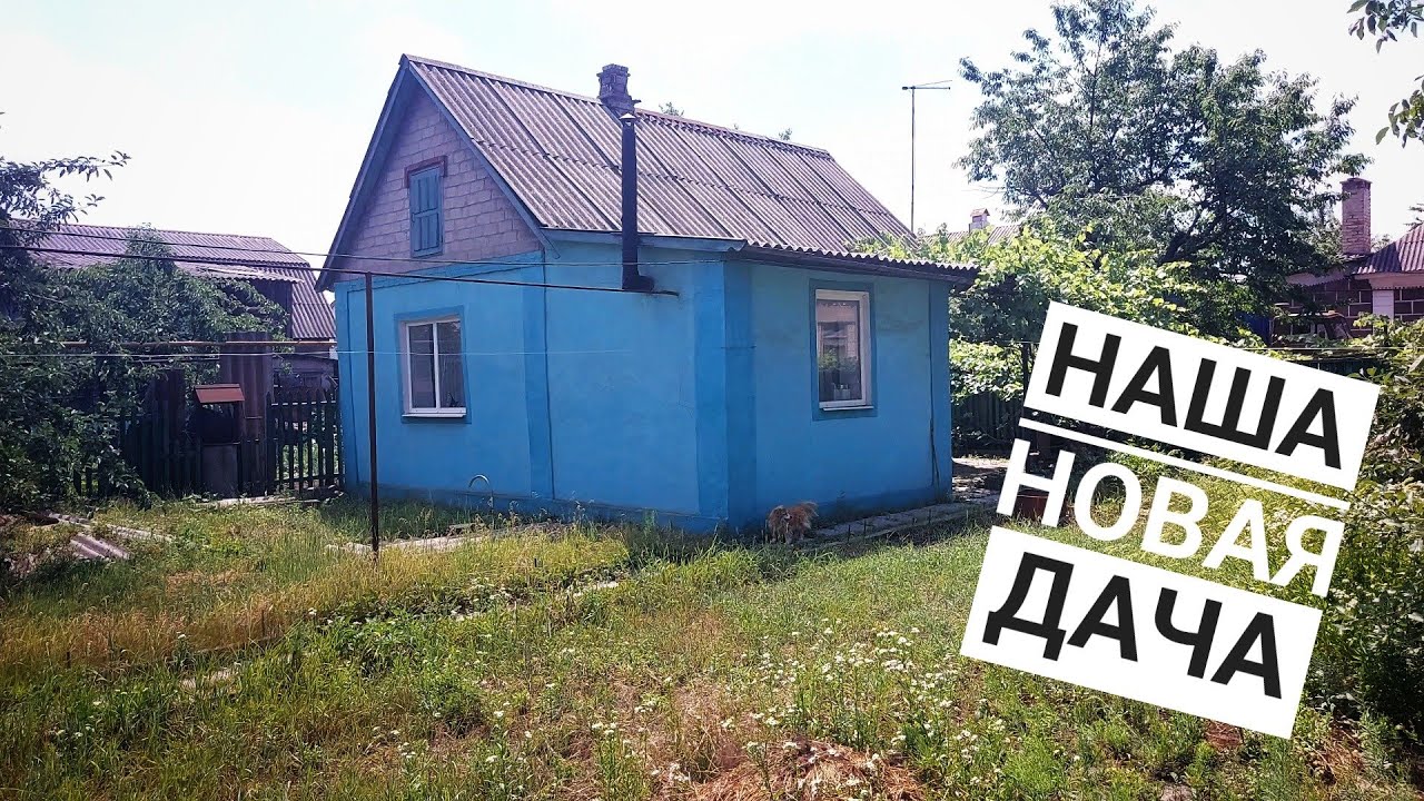 У НАС НОВАЯ ДАЧА/ ОБЗОР/ КУПИЛ САДОВЫЙ ТРИММЕР