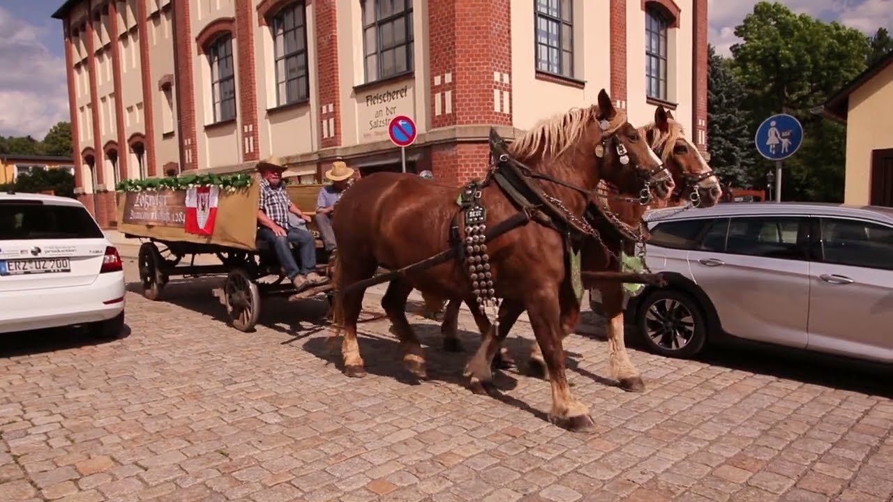 Salzzug in Lößnitz Erzgebirge.  Праздник СОЛИ в Лёснитце, Саксония  .2H1A2412