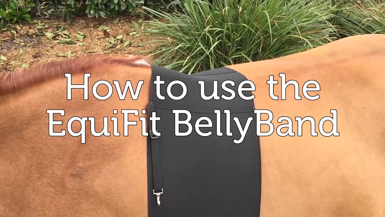 How to use the EquiFit BellyBand
