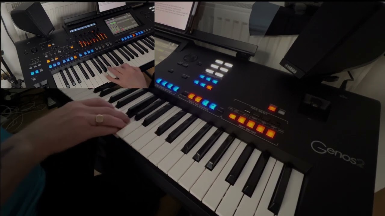 You Never Can Tell (cover version)