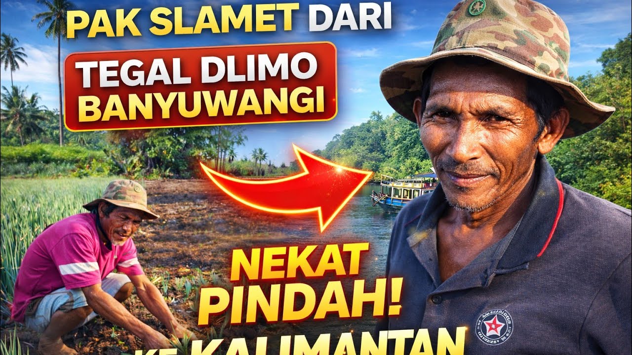 CERITA DARI TEGAL DLIMO BANYUWANGI KE KALIMANTAN PROGRAM TRANSMIGRASI KALIMANTAN 