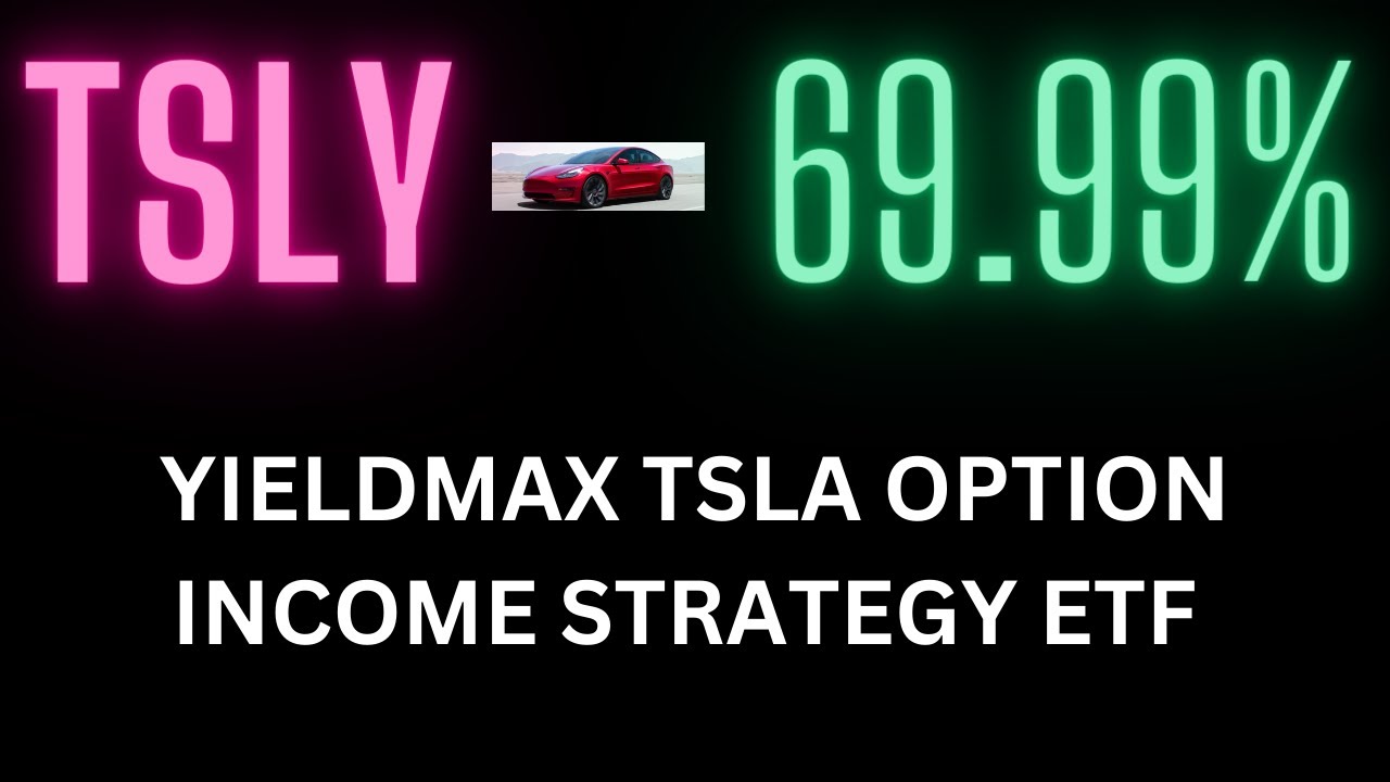 Passive Income: Tesla YieldMax TSLA Option Income Strategy ETF Explained| Interview with the CEO