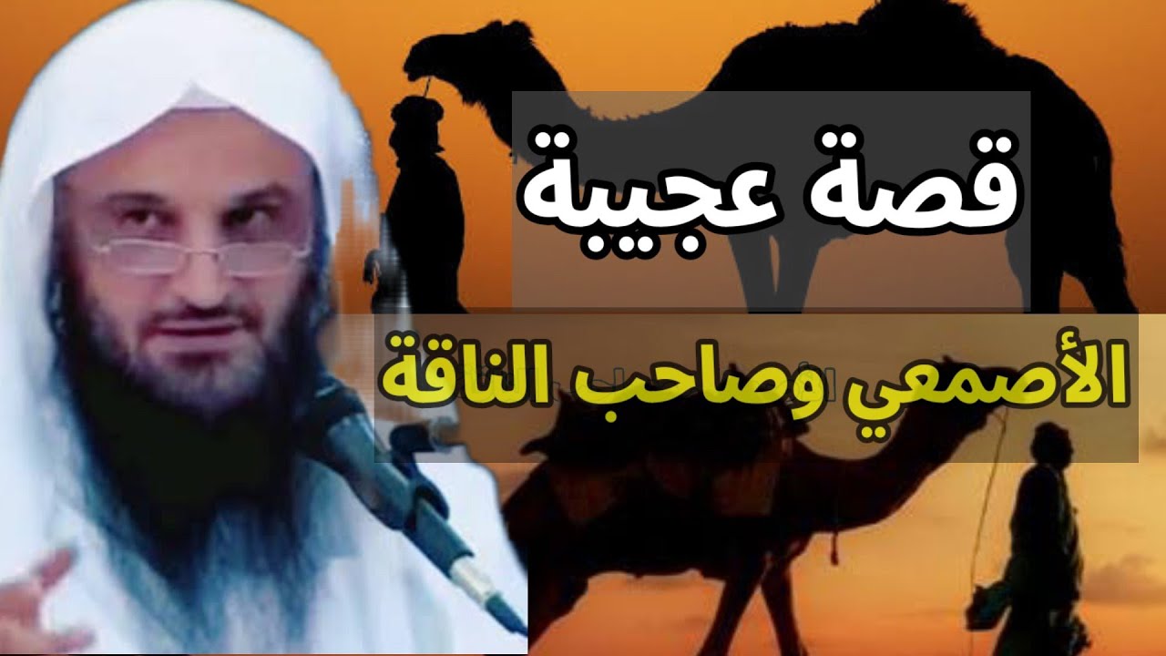 الأصمعي وصاحب الناقة,قصة عجيبة | الشيخ عبد الرزاق البدر