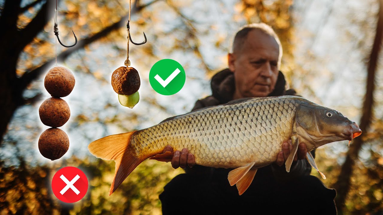 5 + 1 Tipp a Hidegvízi Horgászatokhoz - Pontyhorgászat