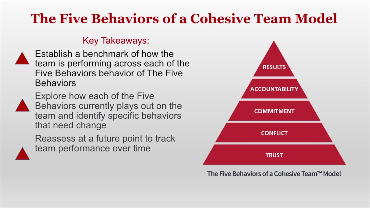 Five Behaviors Team Assessment Overview