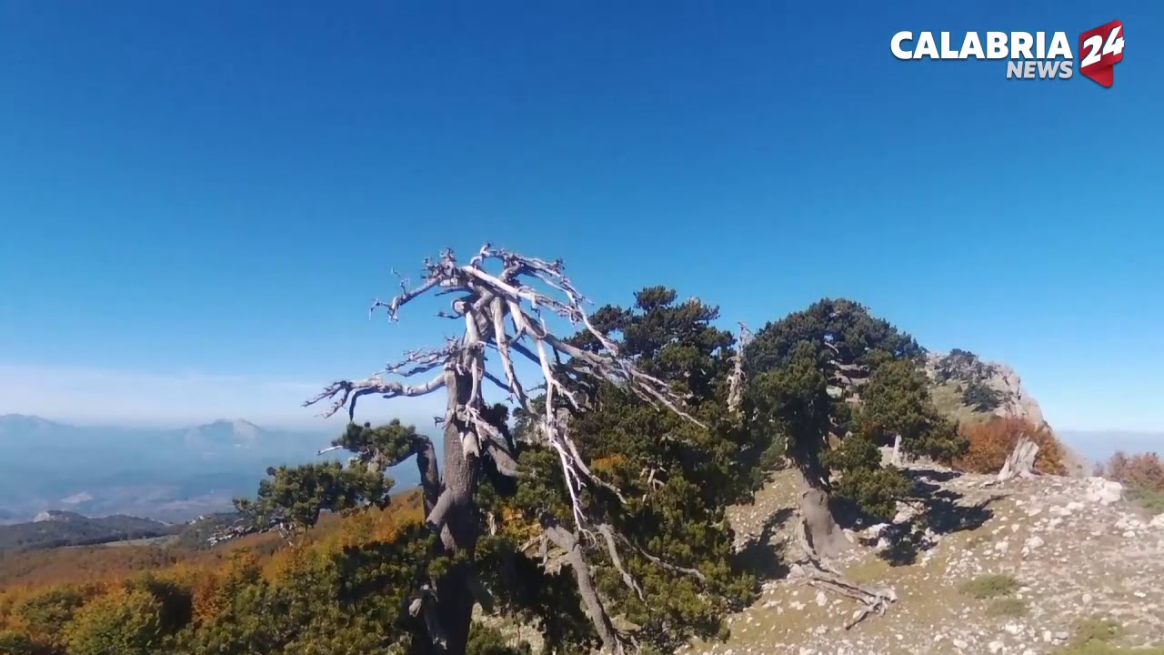 #CalabriadaScoprire: IL GIARDINO DEGLI DEI