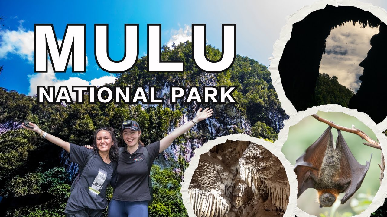 Mulu National Park: The Largest and Longest Caves in the World!