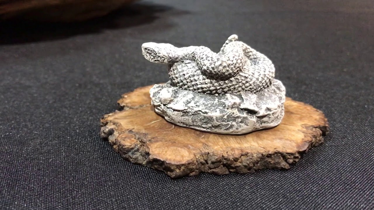 Visiting 2019 Bonsai Show by Broward Bonsai Society