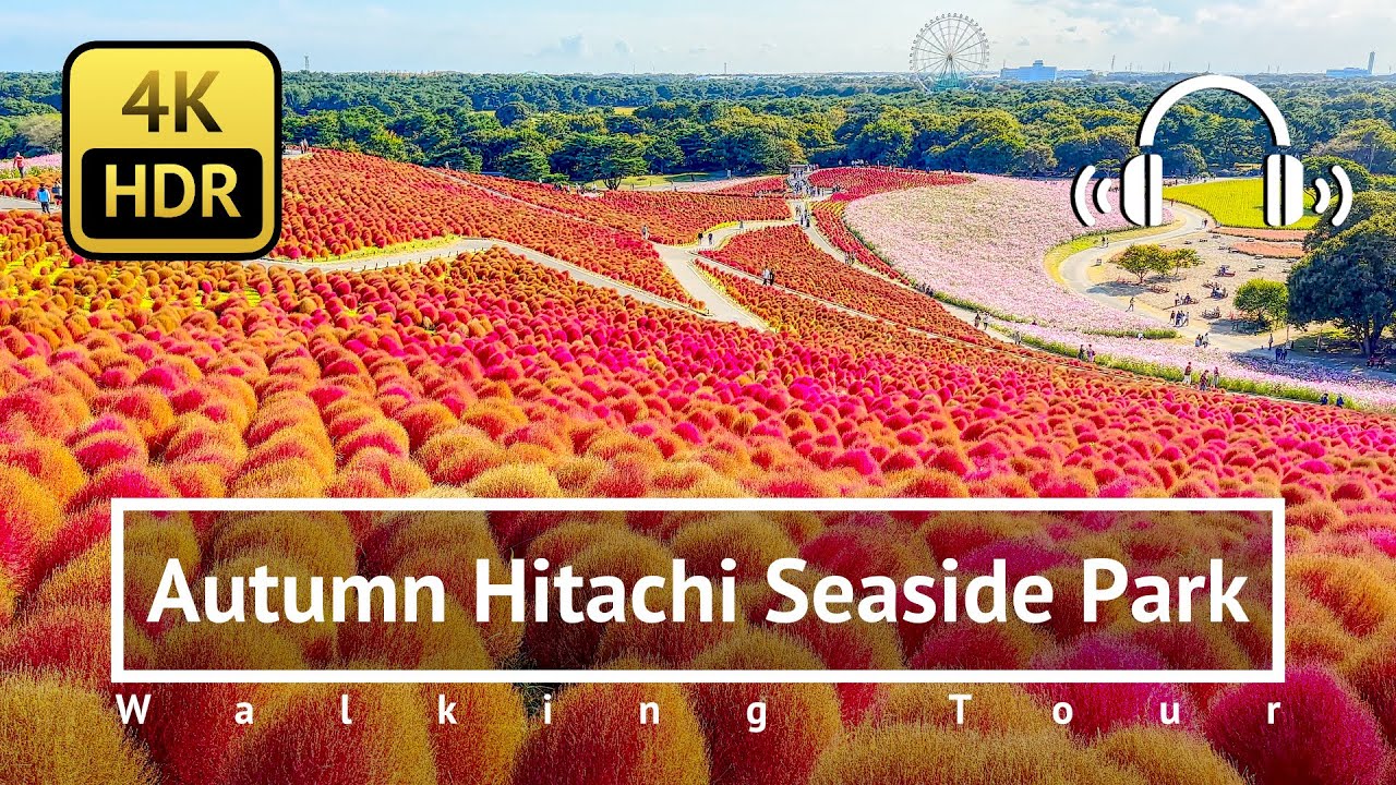 Autumn Hitachi Seaside Park Walking Tour - Ibaraki Japan [4K/HDR/Binaural]