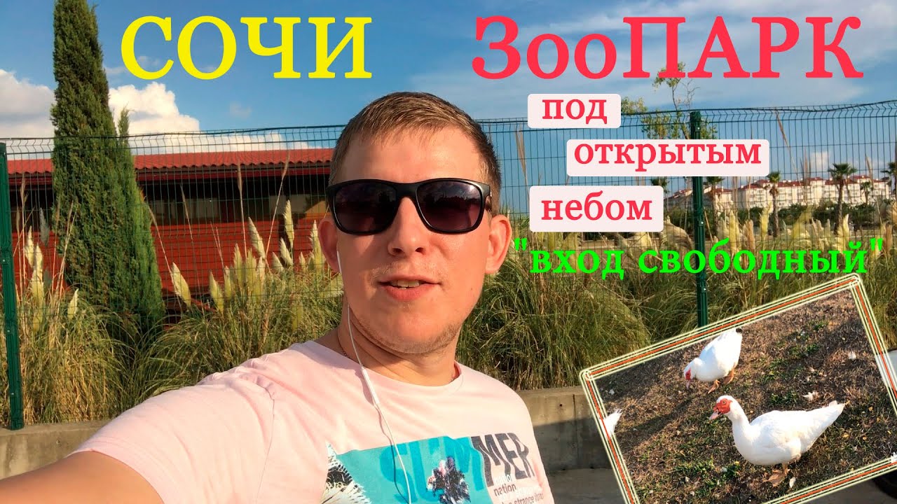 Куда сходить в СОЧИ? Зоопарк под открытым небом. Орнитологический парк. Бесплатный СОЧИ.