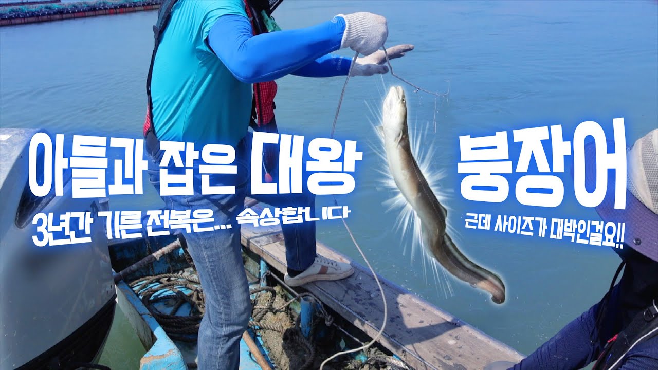 진짜 초대박입니다!! 3년간 기른 전복은 속상하지만 대왕 붕장어로 달래봅니다! #전복 #해남 #어영차