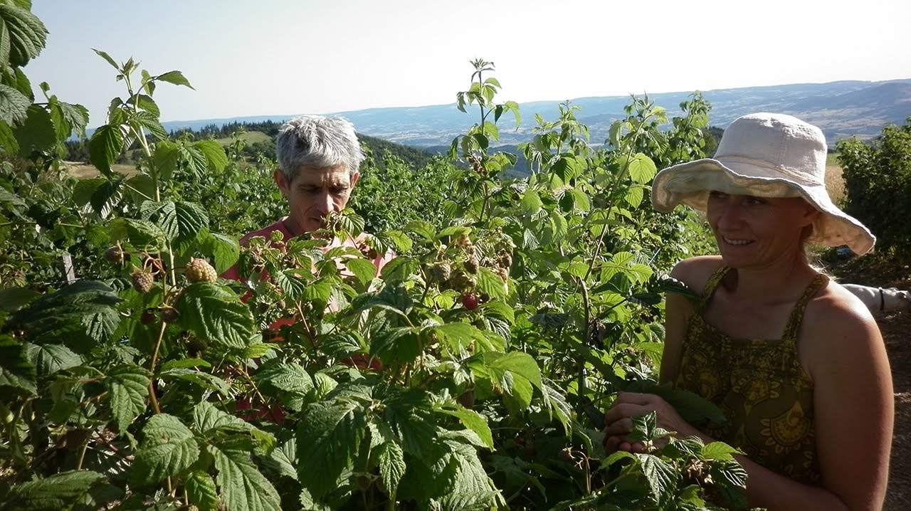 La Thuile des fées, une agriculture consciente