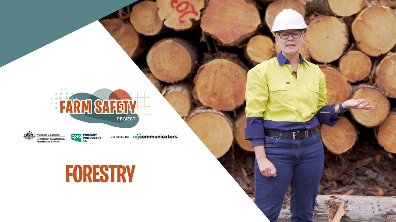 Farm Safety For Kids | Forestry