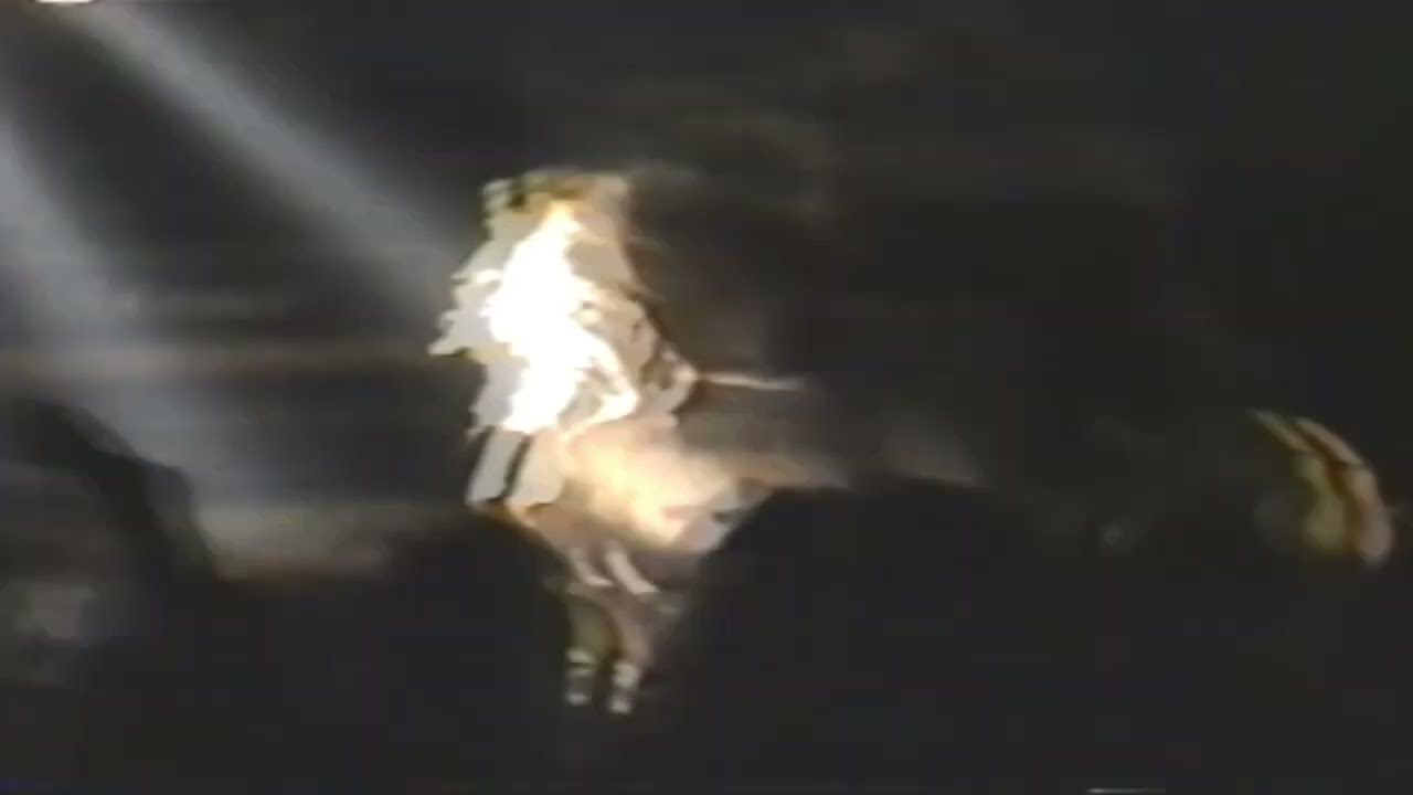 Wargasm (USA-MA) Wasteland (Live) Axis, Boston Ma 03-01-1990
