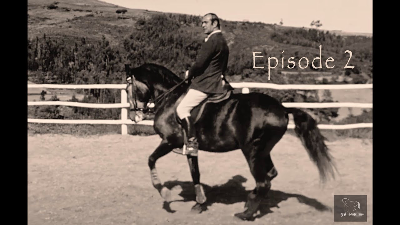 L'ÉNIGME DES MAÎTRES #S1 Ep2 - Il n'y a pas d'arbre sans RACINES (Nuno OLIVEIRA) - Art Équestre