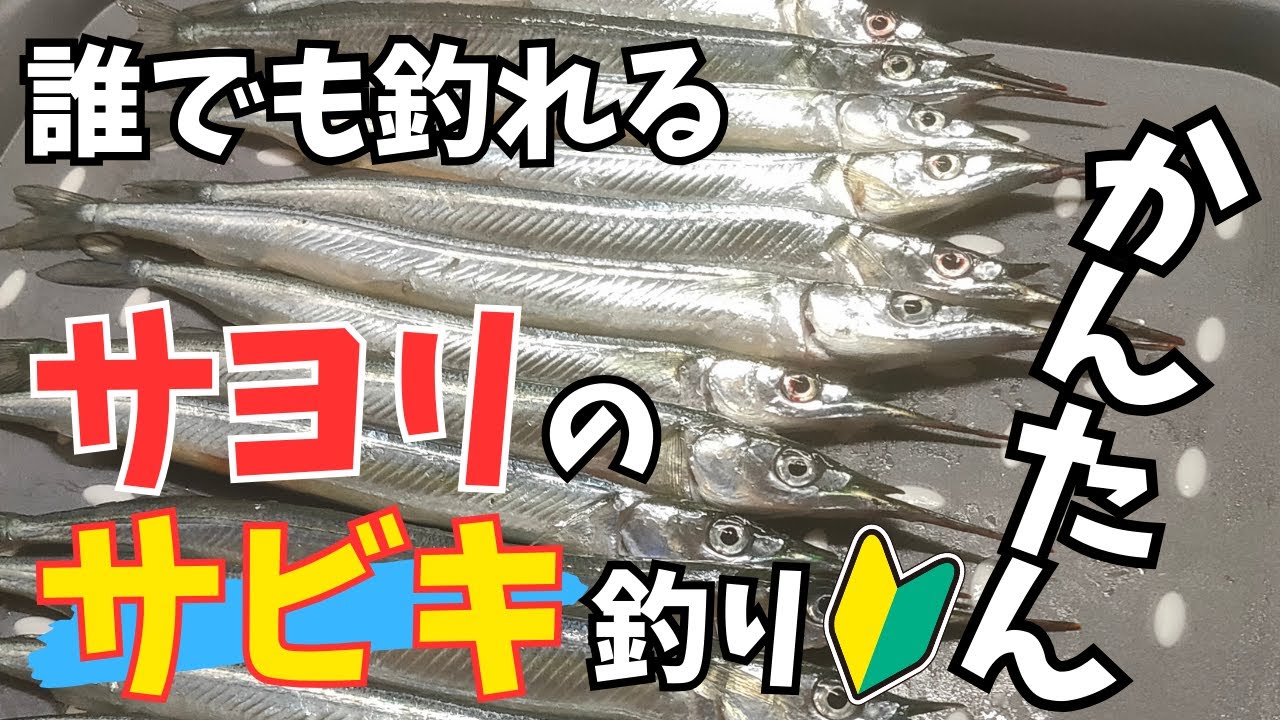 【玉野市/向日比港】簡単♪サビキで狙うサヨリ釣り！