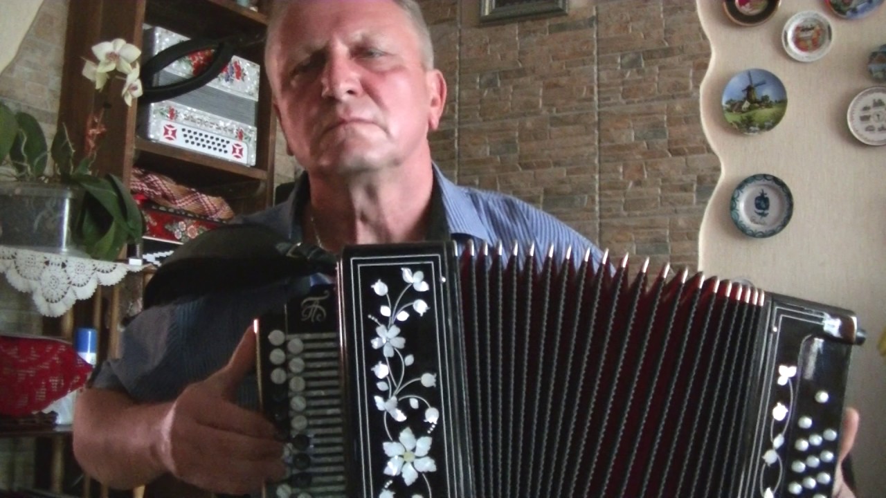 Вы шумите,шумите, надо мною березы  на  гармони.