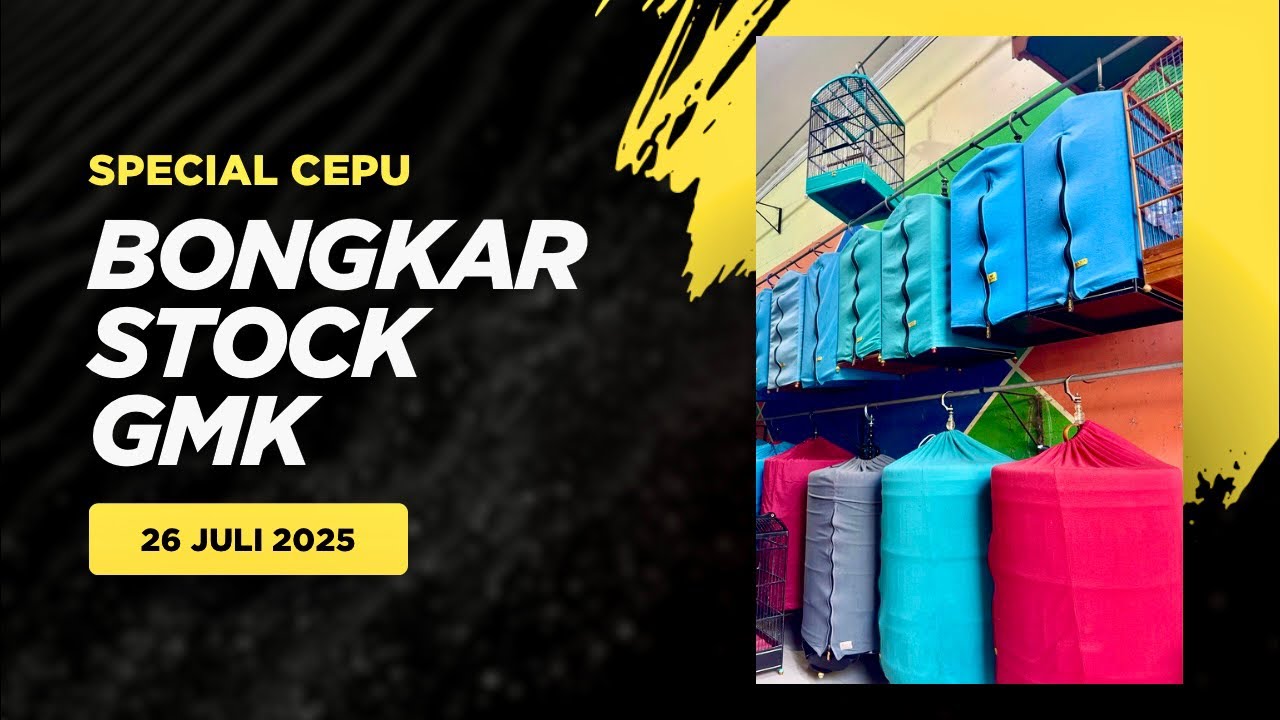 Bongkar Stock Trotol Murai GMK Special Cepu 26 Juli 2025