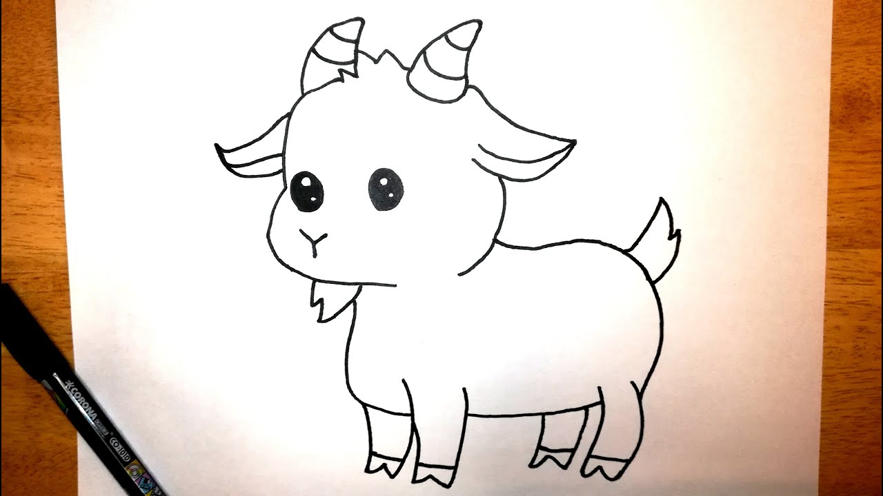 Drawing a goat | drawing a cute goat| How to draw a goat