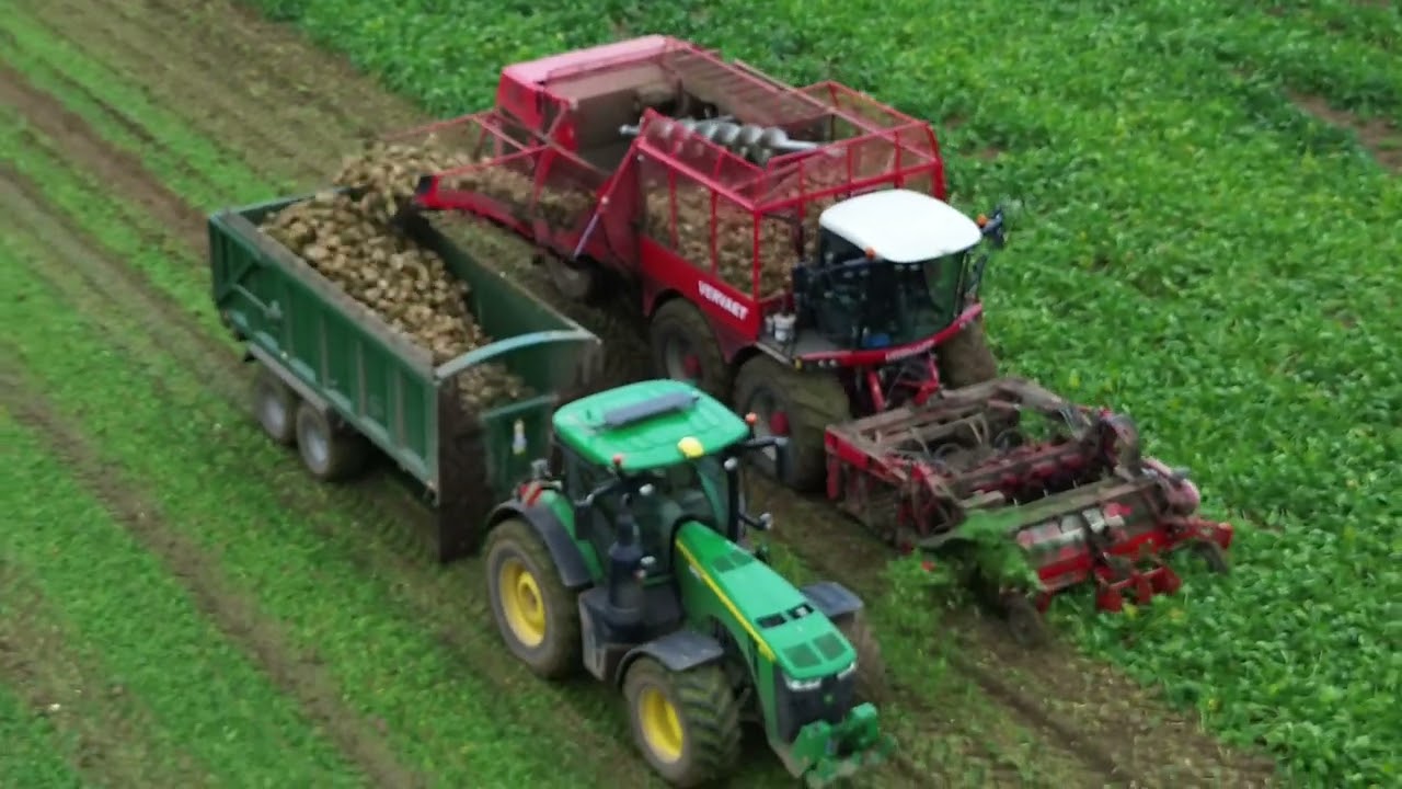 Sugar Beet Harvest 2024 - Melton Constable / Stody (Norfolk)