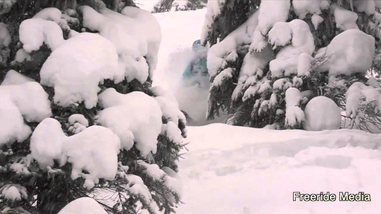 White Grizzly Adventures
