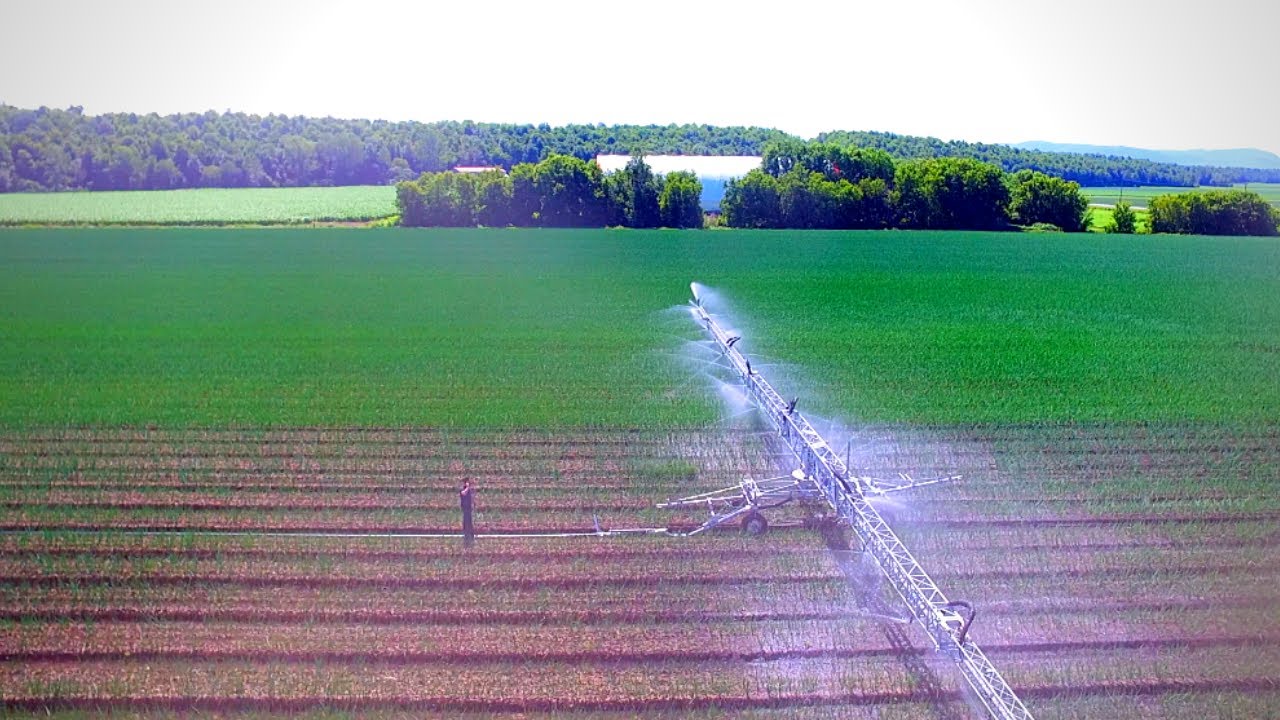 Une Rampe d'Irrigation de 300 pieds ! [ Groupe Les Fermes Lussier ]