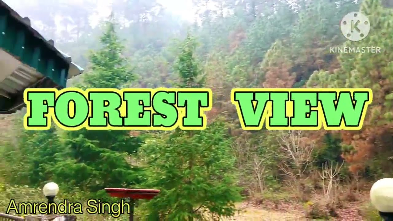Pine Oak Paradise ( Bhowali ) Nainital. ONE BHK ( For Sale) Amrendra Singh, M. 9304424539