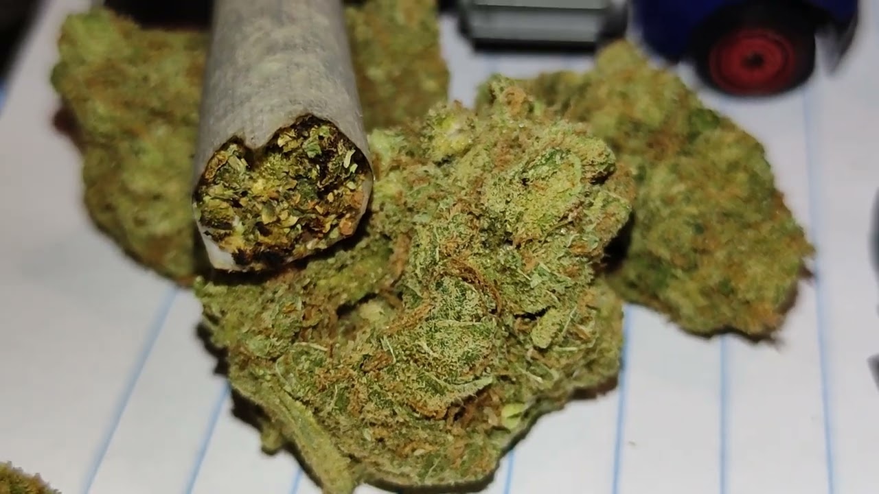 Ripper Haze x Purple Kush