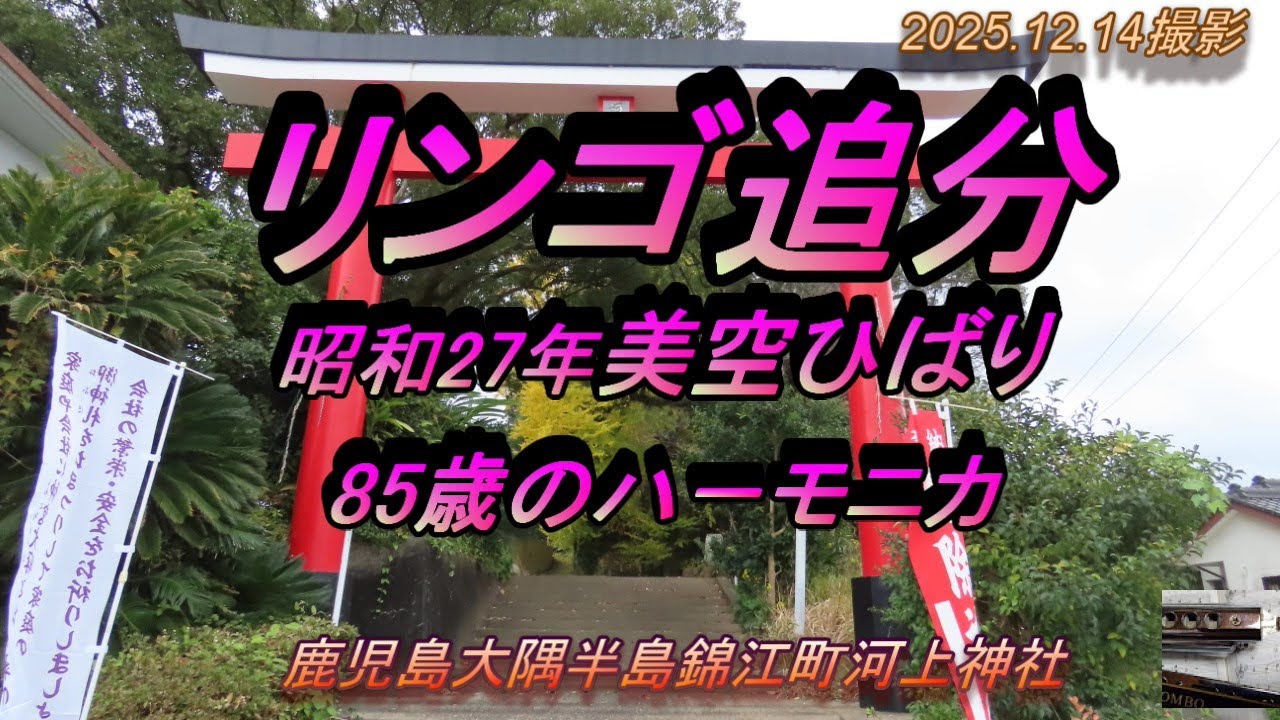 リンゴ追分⁂複音ハ－モニカ（鹿児島錦江町河上神社）