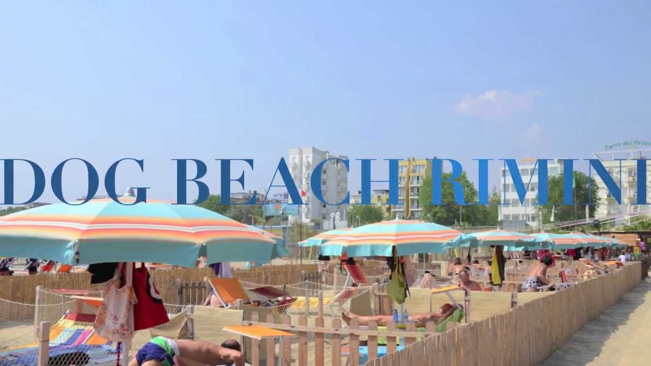 estate 2012 - Rimini Dog no problem ( la dog beach del Bagno 81 di Rimini)