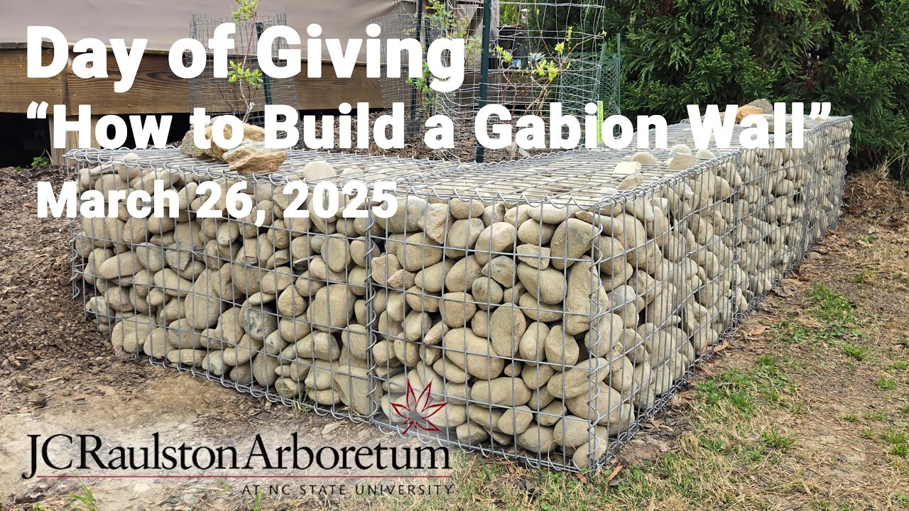Day of Giving 2025 - 