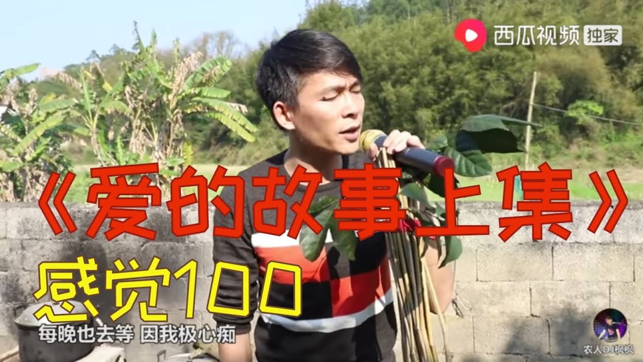 【農人DJ楓楓】《爱的故事上集》这是我听过最有感觉的版本