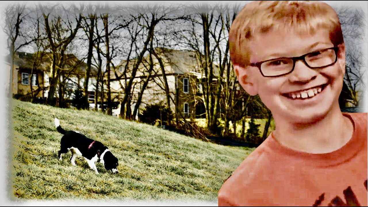 Sebastian Rogers 💥 NEWLY RELEASED 💥 More search dog footage indicates SAME CONSTRUCTION area