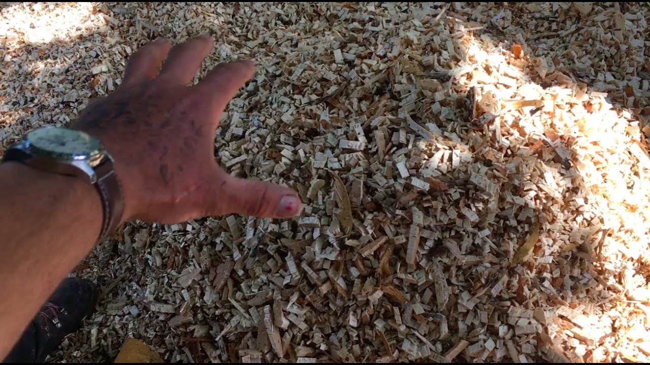 S4 ● E74 Mushroom Gardens (King Stropharia), Ropes and Pulleys