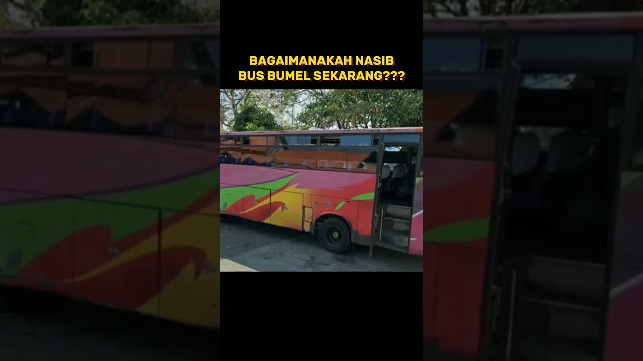 Bagaimanakah Nasib Bus Bumel Sekarang?? #bus #busbumel  #busmania #busindonesia #busekonomi