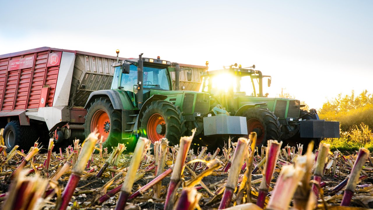 Kukurydza na kiszonkę 2019! | Corn silage 2019! | AgrarEU