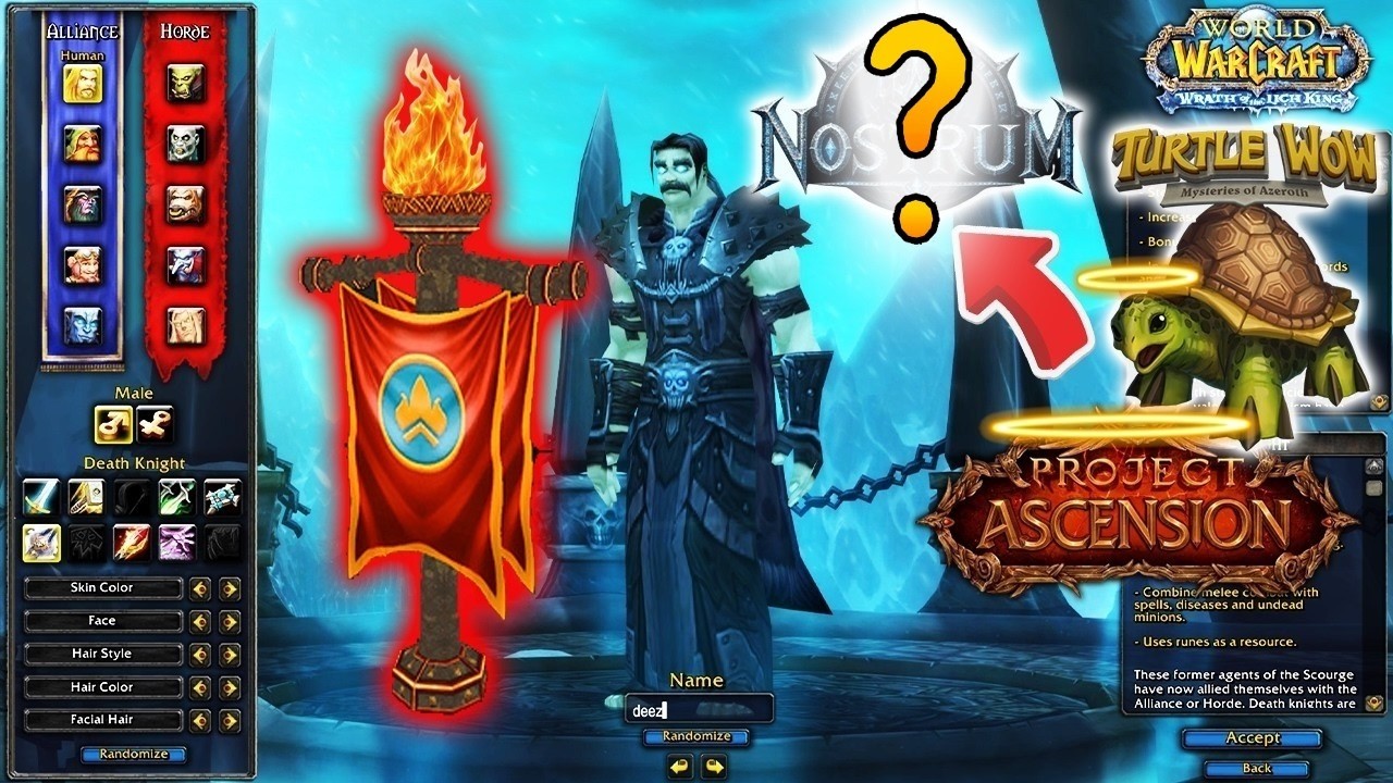BRAND NEW WoW Server - 1st RAID PHASE ACTIVE