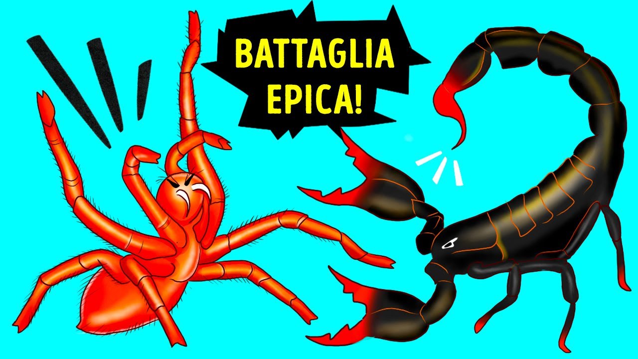 Chi Vincerebbe tra lo Scorpione e il Ragno Più Grande del Mondo