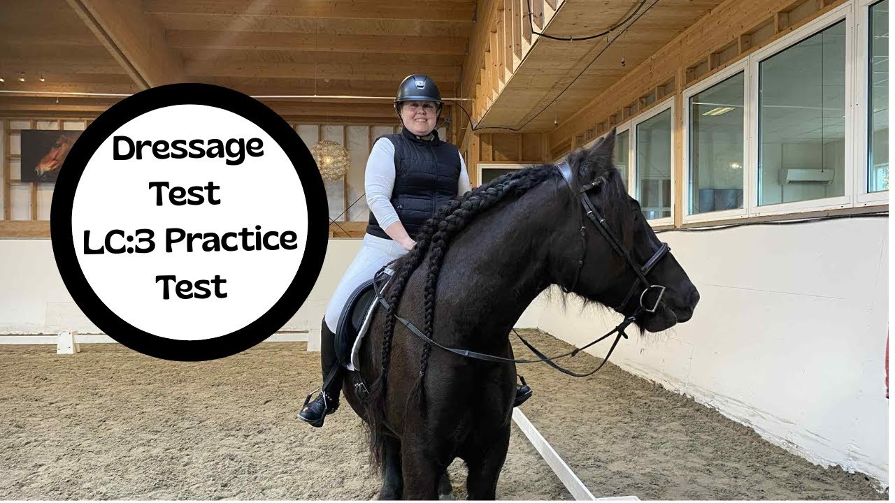 Dressage Test || LC:3 Practice Test