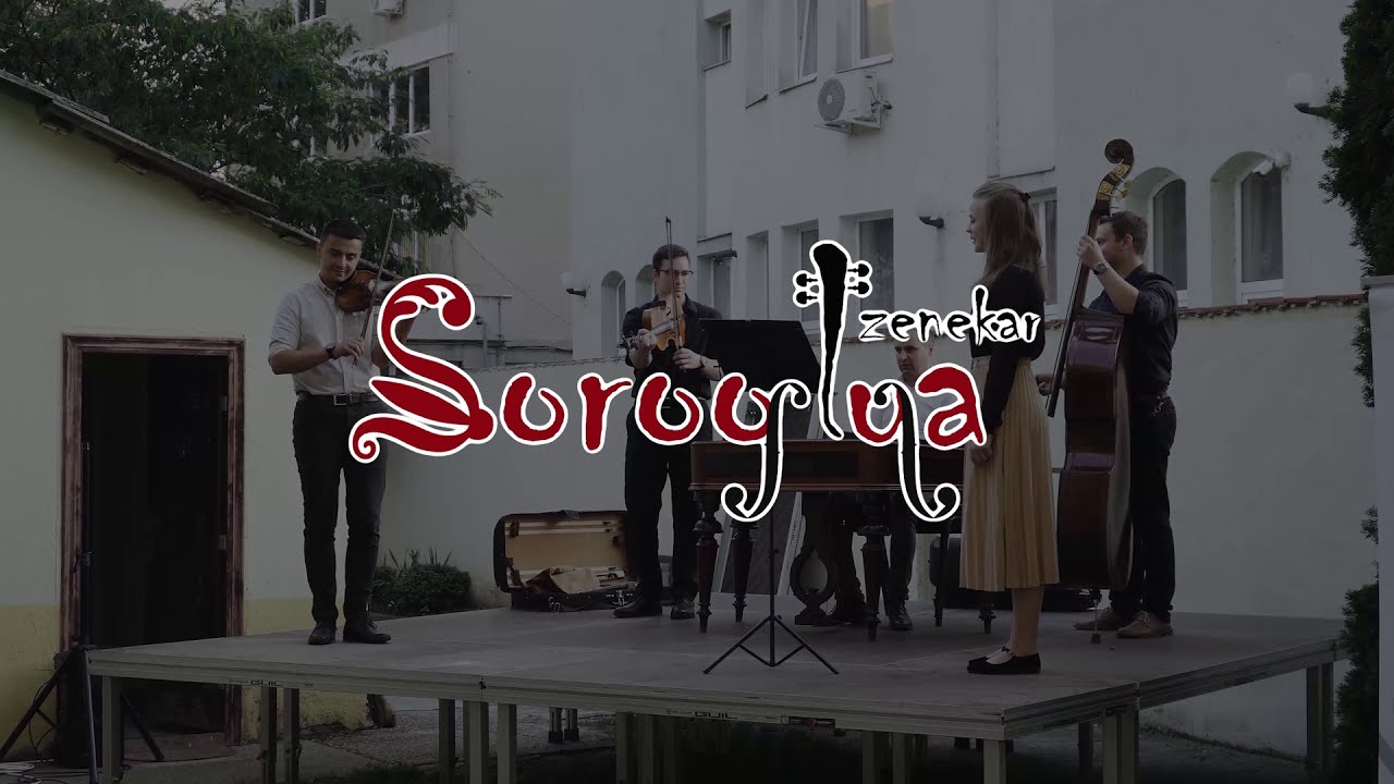 Nagyváradi koncert (részlet)
