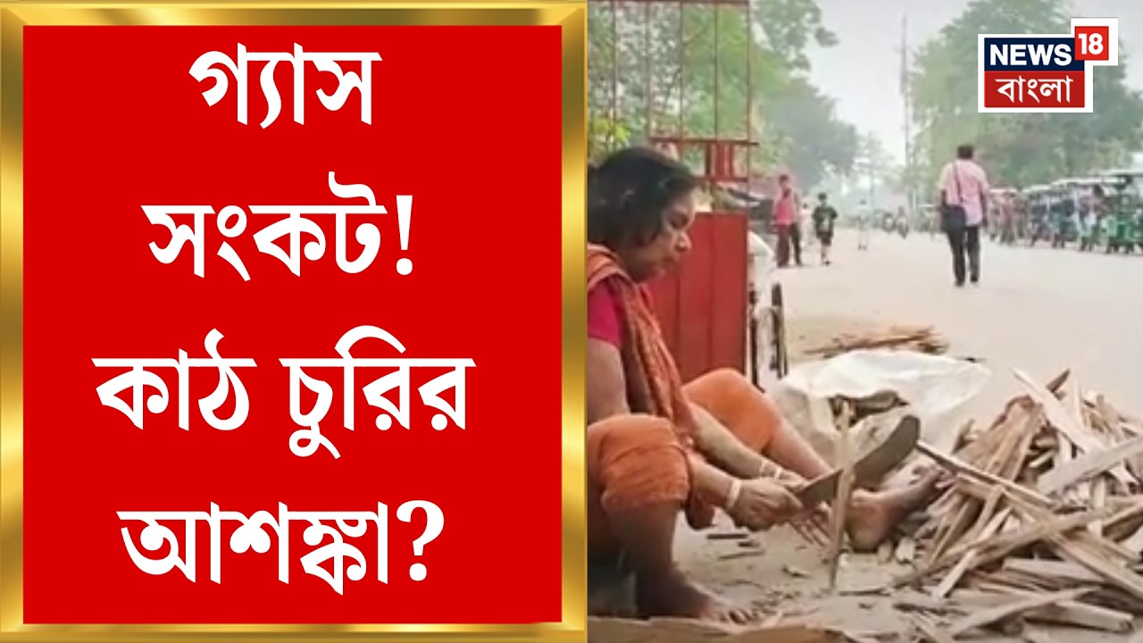 LPG Crisis News | গ্যাস নেই, উনুনে রান্না! জ্বালানি কাঠের চাহিদা বেড়ে বনাঞ্চলে সতর্কতা |Bangla News