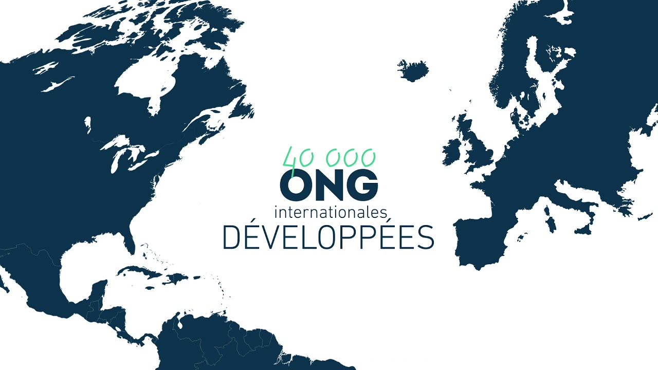 Les Organisations Non-Gouvernementales