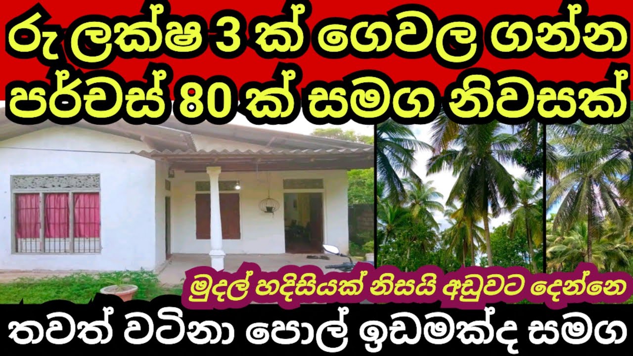 ලක්ෂ 3 ක් ගෙවල ගන්න පර්චස් 80 ක ඉඩමක් සමග නිවසක් | Aduwata idam | House for saale | Land for sale