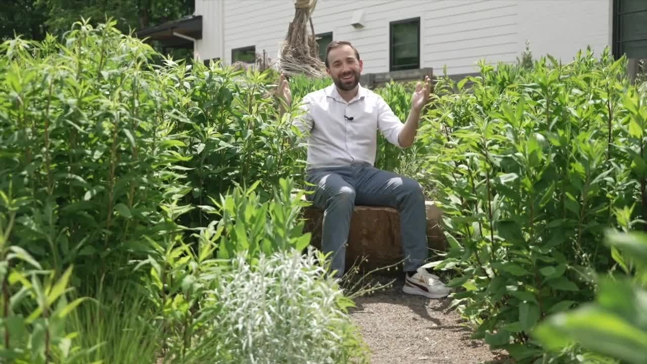 SummerHome Garden in Wash. Park cultivates drought-tolerant plants landscape