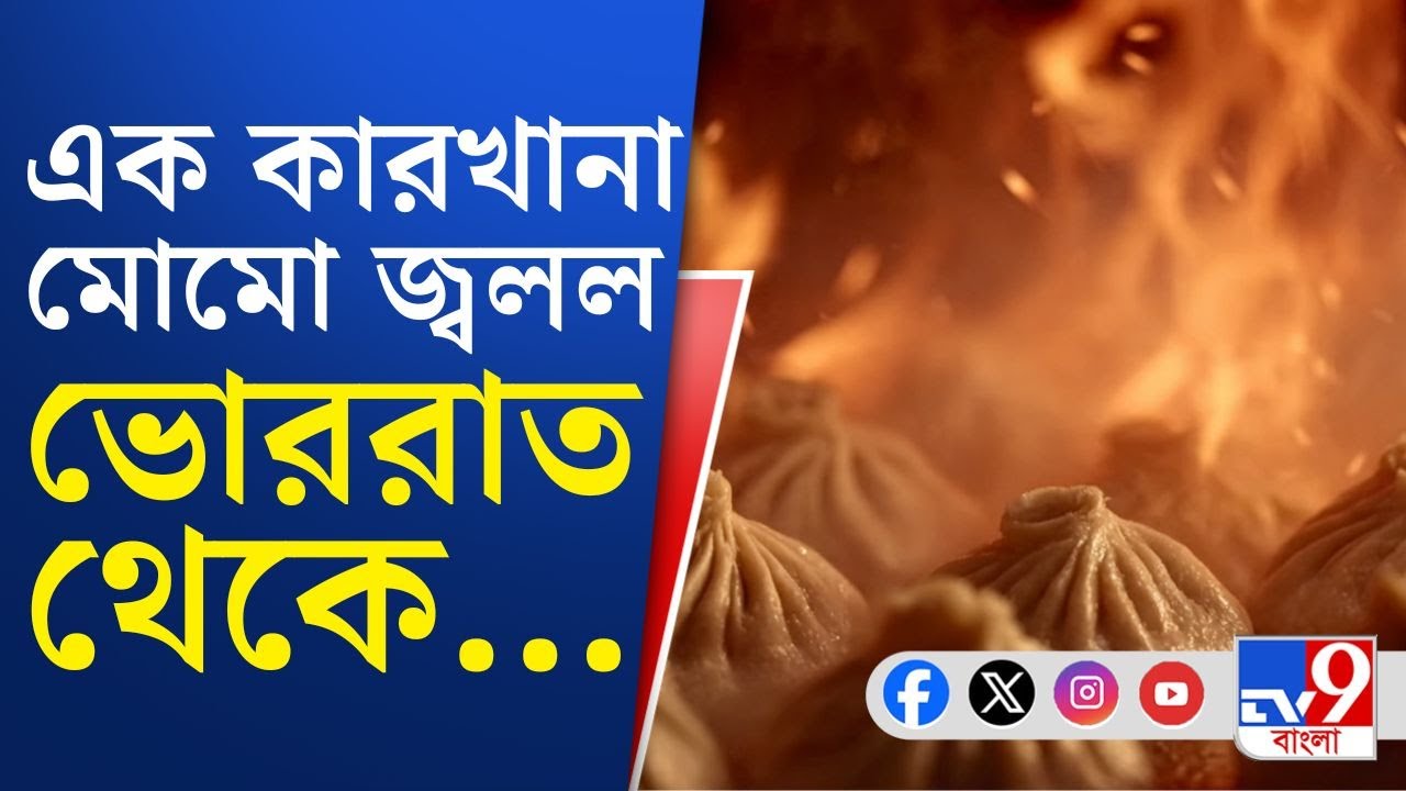 Kolkata News, Momo Factory Fire: রুবি আরবানার পিছনে ব্র্যান্ডেড মোমো কারখানায় বিধ্বংসী আগুন