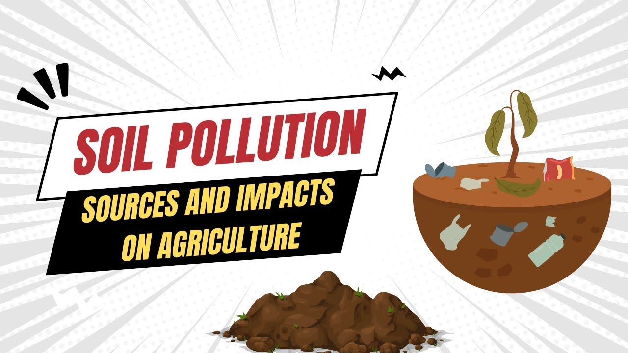🌱 Soil Pollution: Causes & Agricultural Impact | How to Fix It? | Spring Scientific