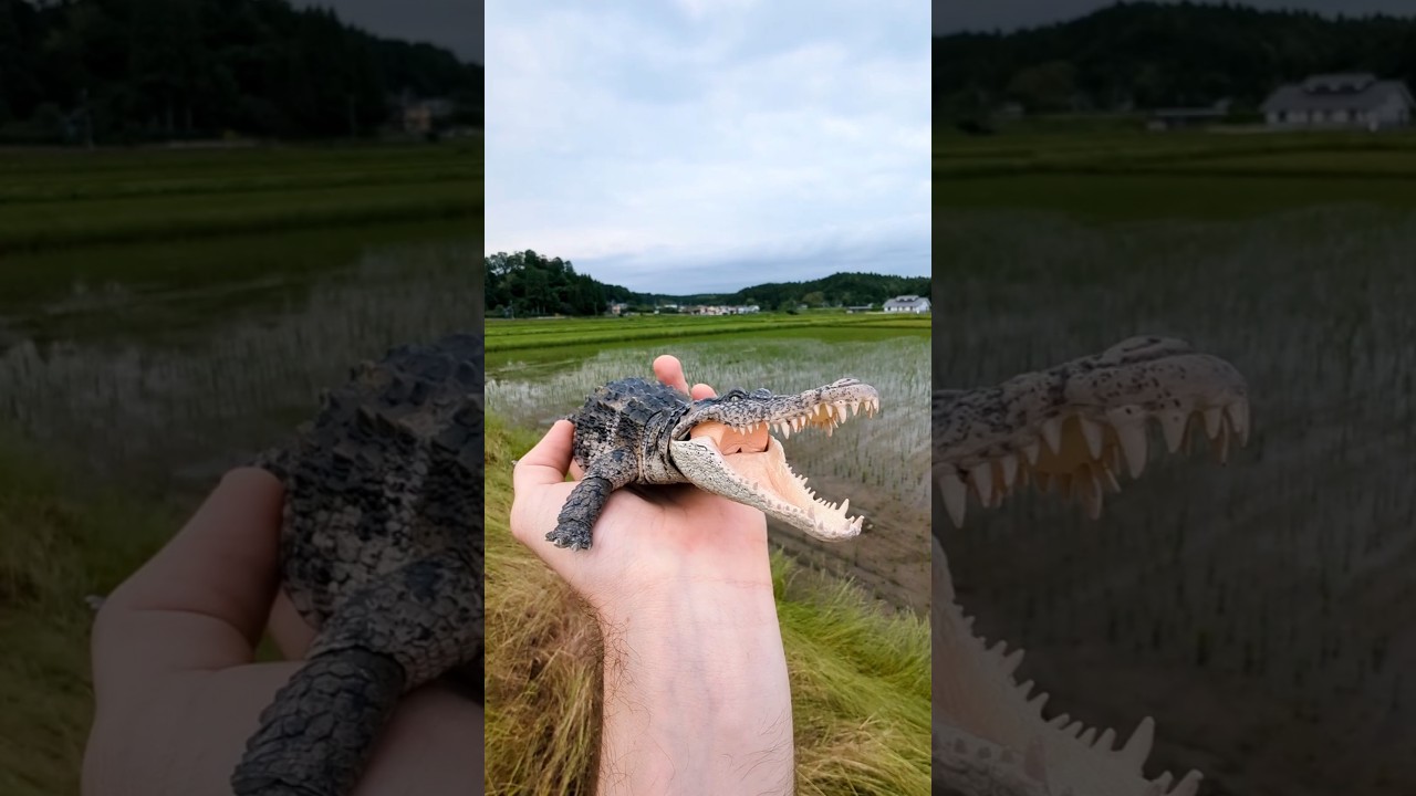 Bandai Nile Crocodile Figure