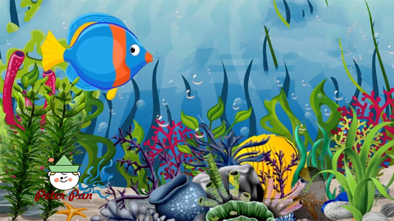 Soothing Aquarium Slumber Lullaby